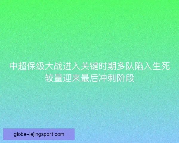 中超保级大战进入关键时期多队陷入生死较量迎来最后冲刺阶段